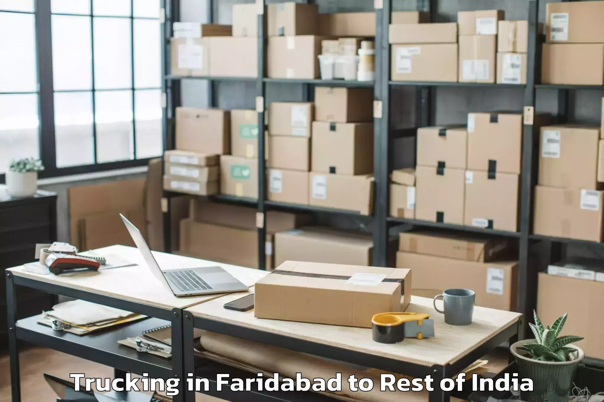 Affordable Faridabad to Serilingampalle M Trucking